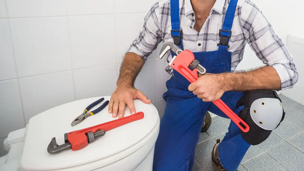 A plumbing expert gripping a wrench, fixing a toilet.